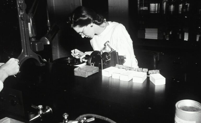 Why Content Quality Matters Most in SEO Ranking